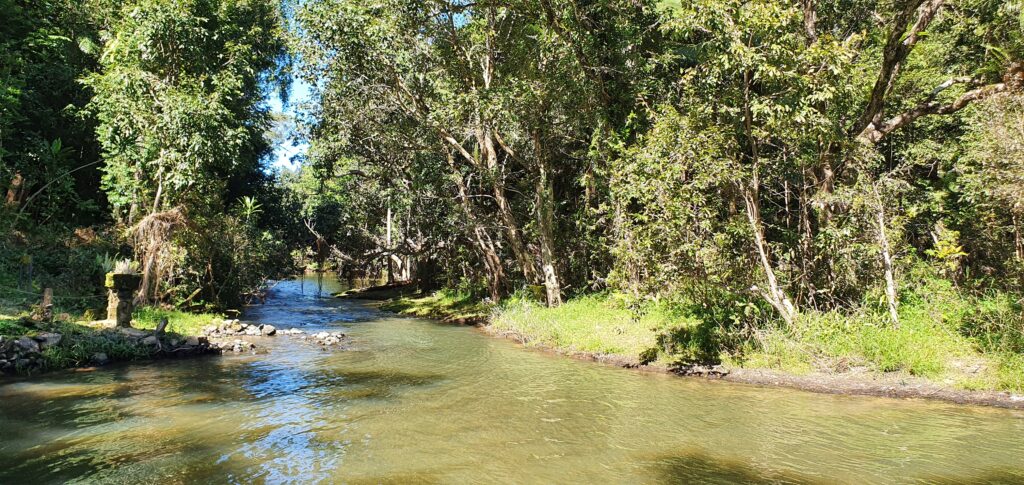 20200726_125920 20200726_125920